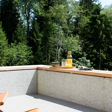 Dom wakacyjny Hus154 - Privates Design-Chalet Mit Eigener Sauna Im Brandnertal - 120 M' Fuer Bis Zu 7 Personen *